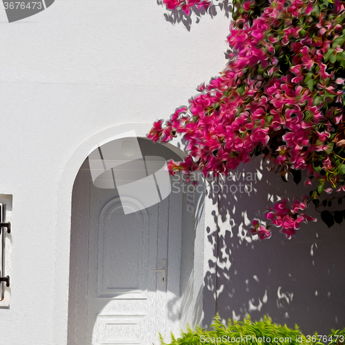 Image of  flowers  in architecture    europe cyclades santorini old town 