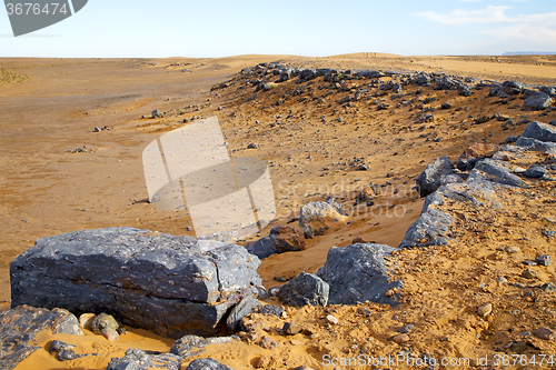 Image of  bush old fossil in  the  