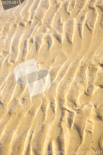 Image of dune morocco in   near atlantic ocean