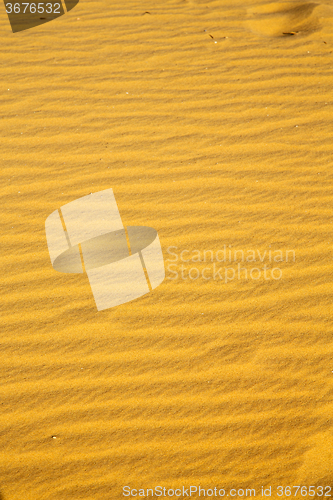 Image of the brown sand dune in the sahara morocco  