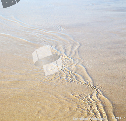 Image of dune morocco in africa brown blue atlantic ocean