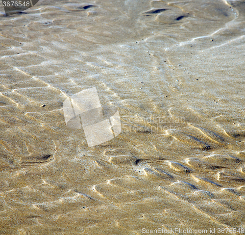 Image of dune morocco in africa brown coastline wet sand beach near atlan