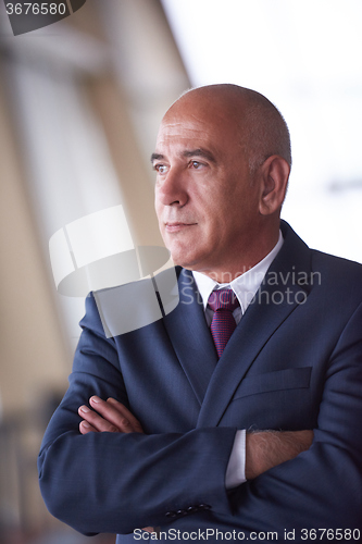 Image of senior business man portrait