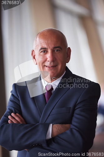 Image of senior business man portrait