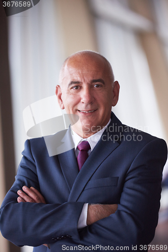 Image of senior business man portrait