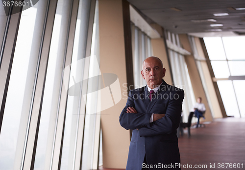 Image of senior business man portrait
