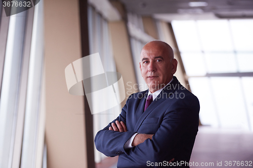 Image of senior business man portrait