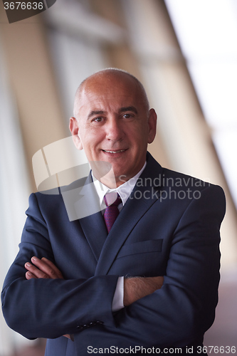 Image of senior business man portrait