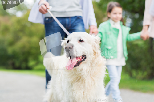 Image of close up of family with labrador dog in park