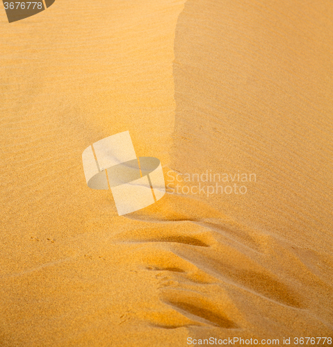 Image of the brown sand dune in the sahara morocco desert 