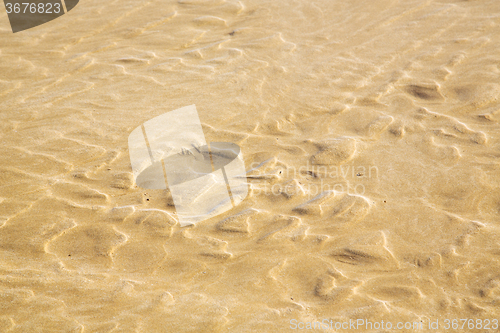 Image of dune   in  beach near atlantic ocean