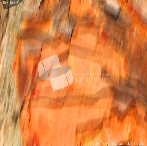 Image of barck in the abstract close up of a tree color and texture