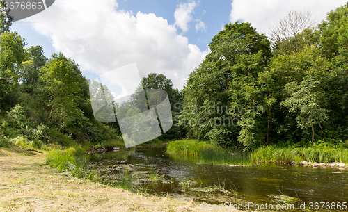 Image of summer forest and river