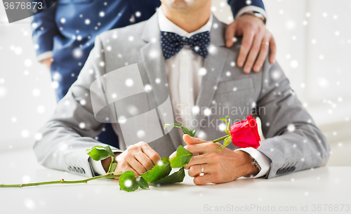 Image of close up of male gay couple with wedding rings on