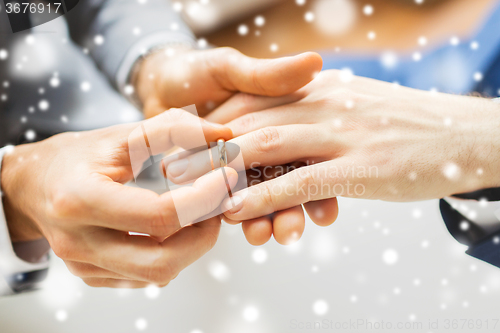 Image of close up of male gay couple hands and wedding ring