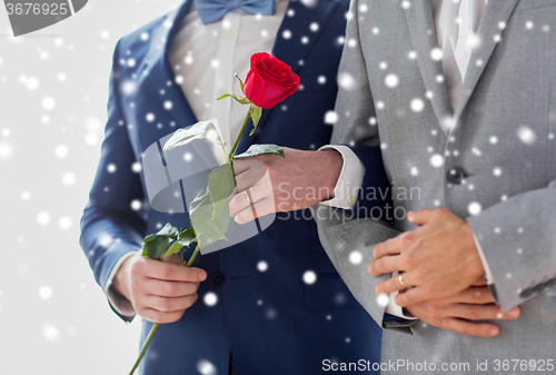 Image of close up of happy male gay couple holding hands