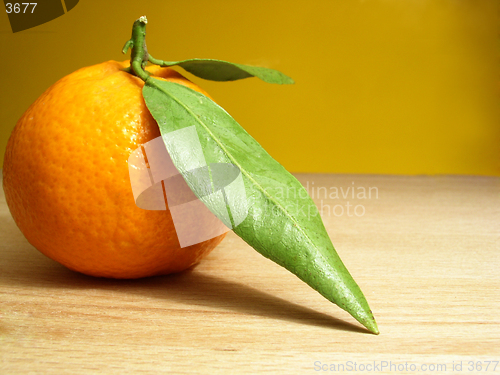 Image of tangerines and leaf