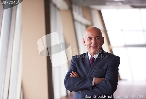 Image of senior business man portrait