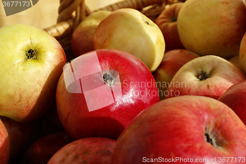 Image of Closeup of ripe apples in a basket