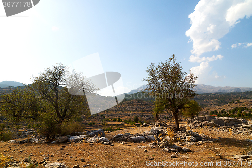 Image of from the   turkey selge   ruins and nature 