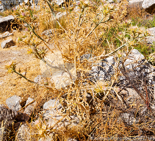 Image of the old  temple and theatre in termessos antalya turkey asia sky