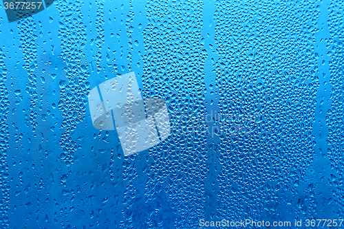 Image of Water drops on glass