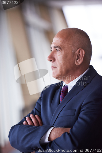 Image of senior business man portrait