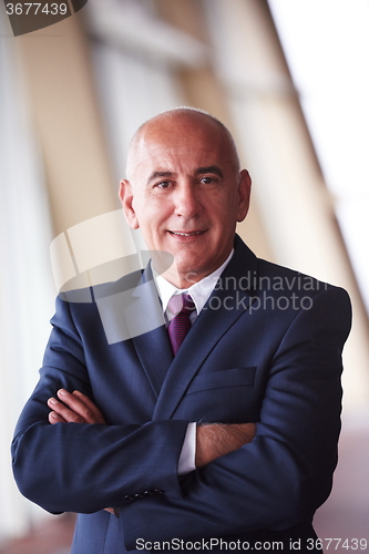 Image of senior business man portrait