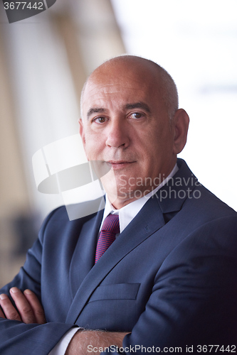 Image of senior business man portrait