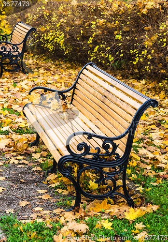 Image of Beautiful bench in autumn park