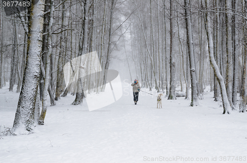Image of Woman with dog on a snowy winter alley