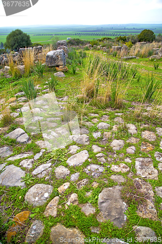 Image of volubilis in morocco africa the  monument and  