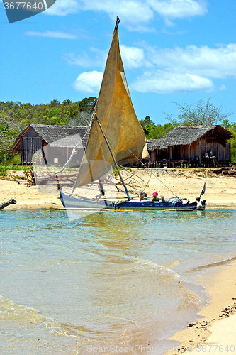 Image of pirogue beach seaweed  nosy be  people   sand isle       rock