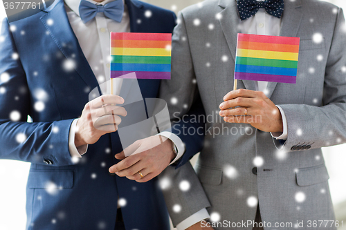 Image of close up of male gay couple holding rainbow flags