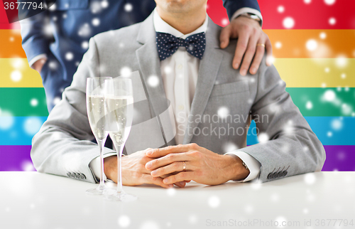 Image of close up of male gay couple with champagne glasses