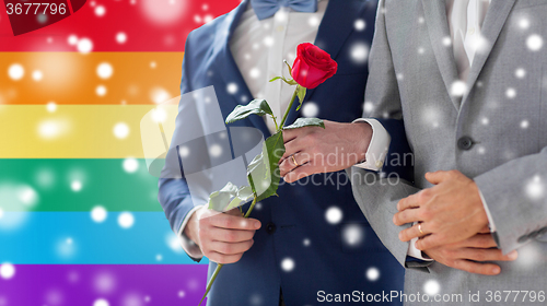 Image of close up of happy male gay couple holding hands