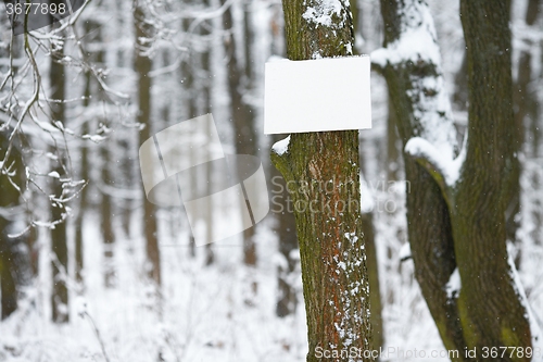 Image of Winter forest, empty sign