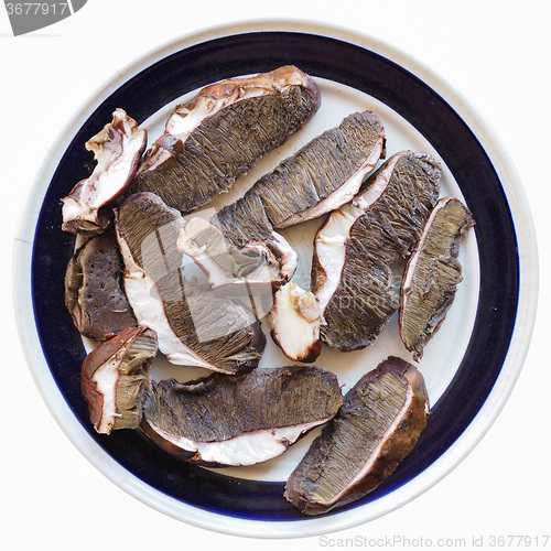 Image of Porcini mushrooms food