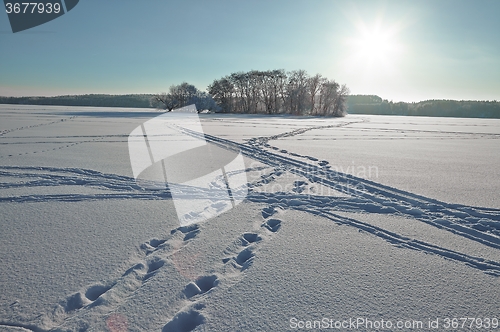 Image of Winter Landscape, Frozen Lake