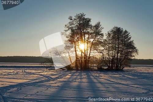 Image of Winter Sunset Landscape