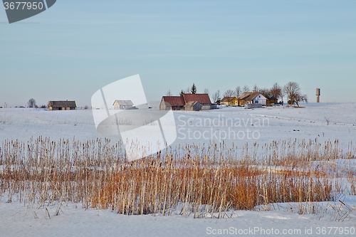 Image of Winter Landscape