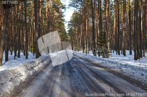 Image of Winter Road