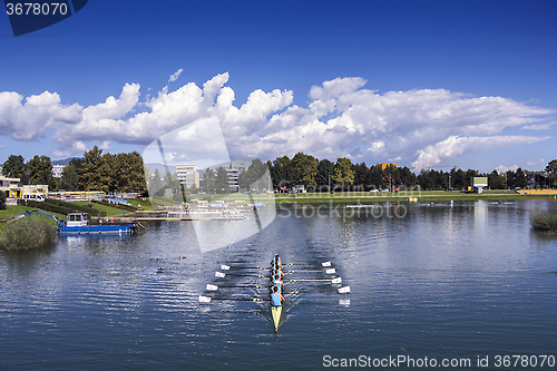 Image of Training rowing on the lake Jarun