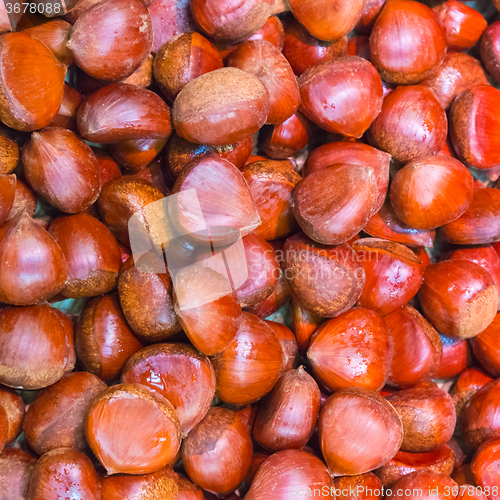 Image of Pile of chestnuts.