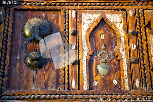 Image of shell  brown  rusty      morocco in africa   old wood 