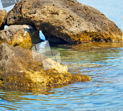 Image of brown  stone in the coastline sunrise and light ocean white sky