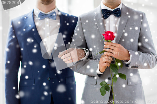 Image of close up of happy male gay couple holding hands