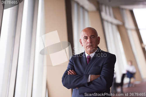 Image of senior business man portrait