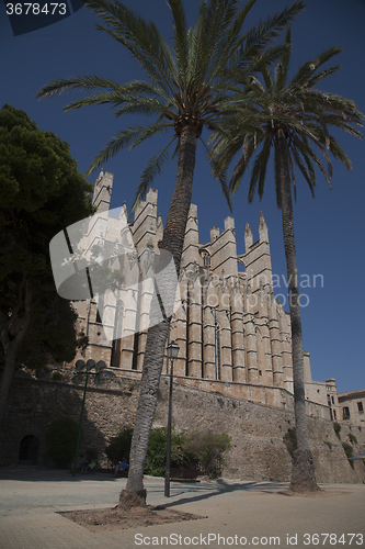 Image of Palma Cathedral