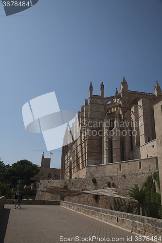 Image of Palma Cathedral